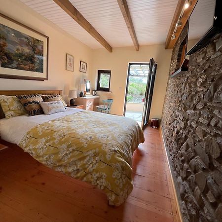 Neuadd Villa Llanwnen 外观 照片