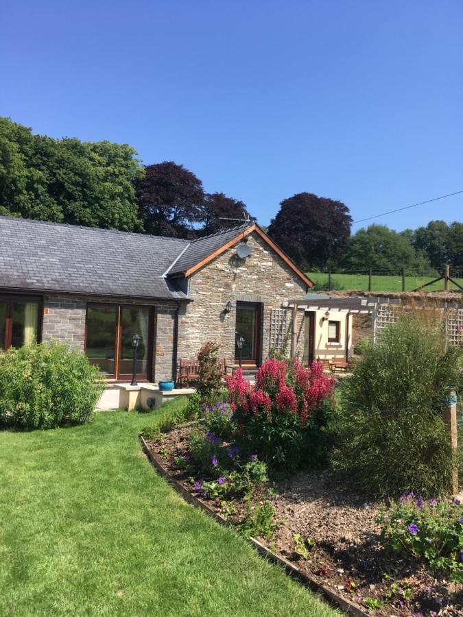 Neuadd Villa Llanwnen 外观 照片