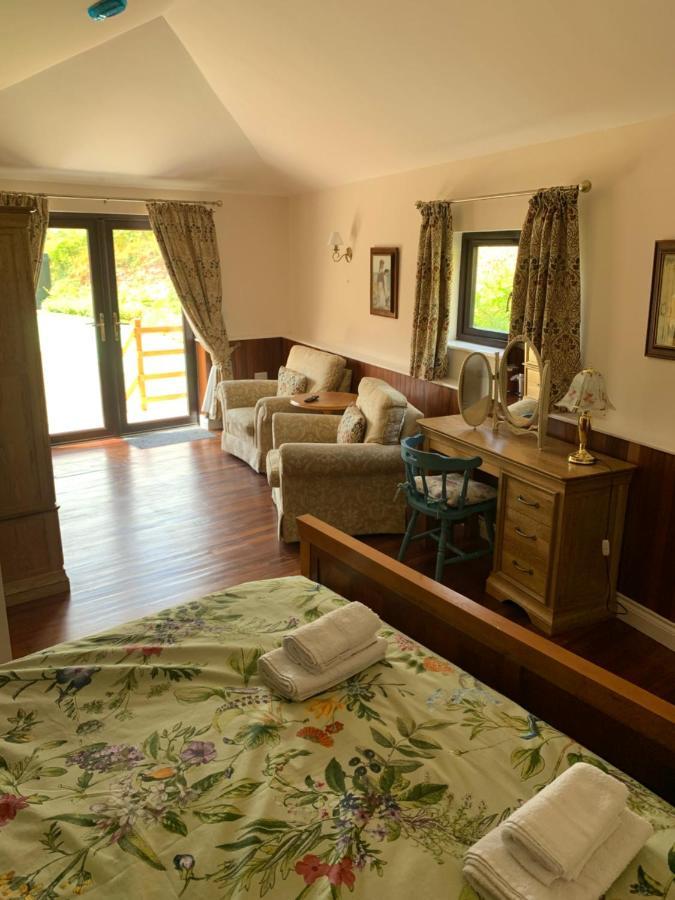 Neuadd Villa Llanwnen 外观 照片