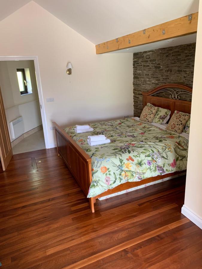 Neuadd Villa Llanwnen 外观 照片